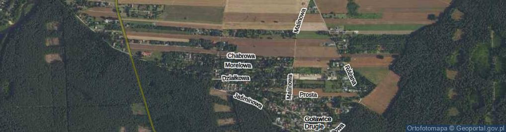 Zdjęcie satelitarne Morelowa ul.